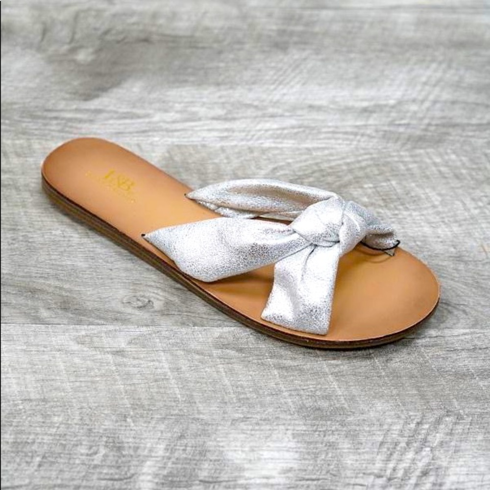 Silver Slides